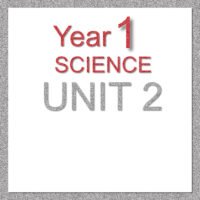 1S Unit 2
