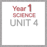 1S Unit 4