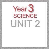 3S Unit 2