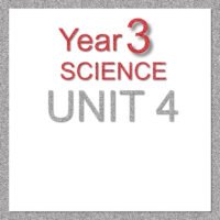 3S Unit 4