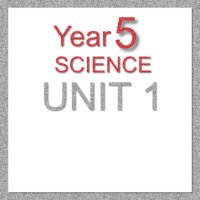 5S Unit 1