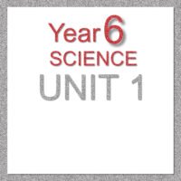 6S Unit 1