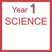 Yr 1 SCIENCE