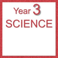 Yr 3 SCIENCE